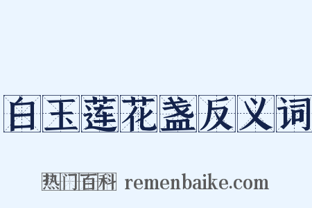 白玉莲花盏反义词是什么意思的图片